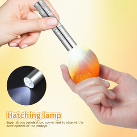 TOYANDONA egg-candler compatibility supports quick candling checks.