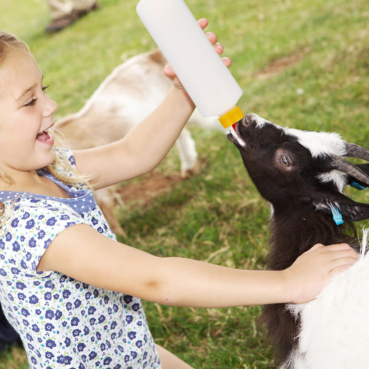 TOYANDONA multi-animal feeding set includes 5 bottles and nipples.