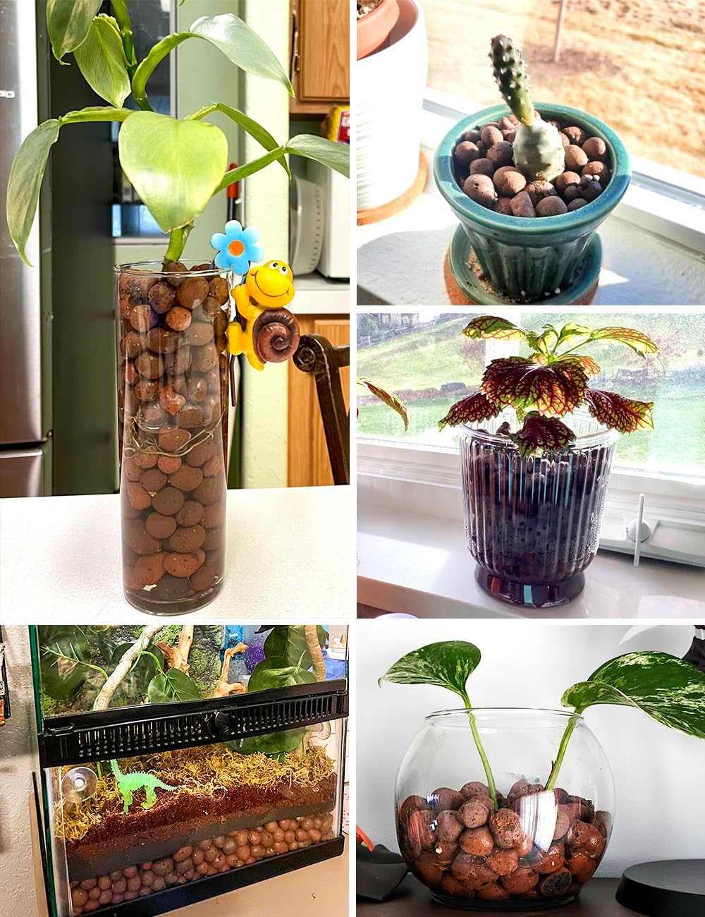 TOYPOPOR aquaponics media is reusable and plant-friendly