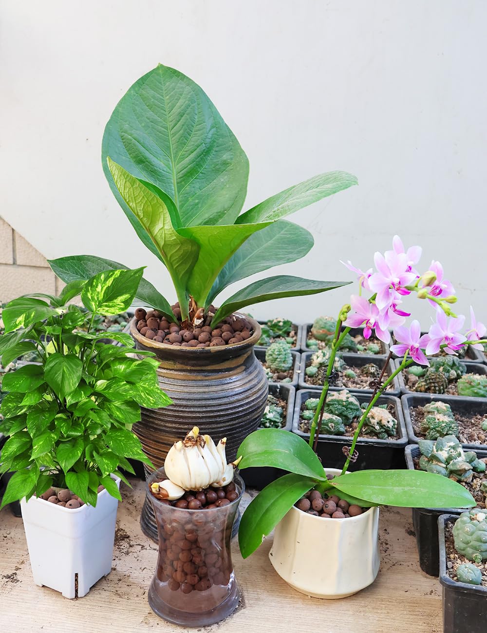 TOYPOPOR indoor plant decor base enhancing drainage and appearance