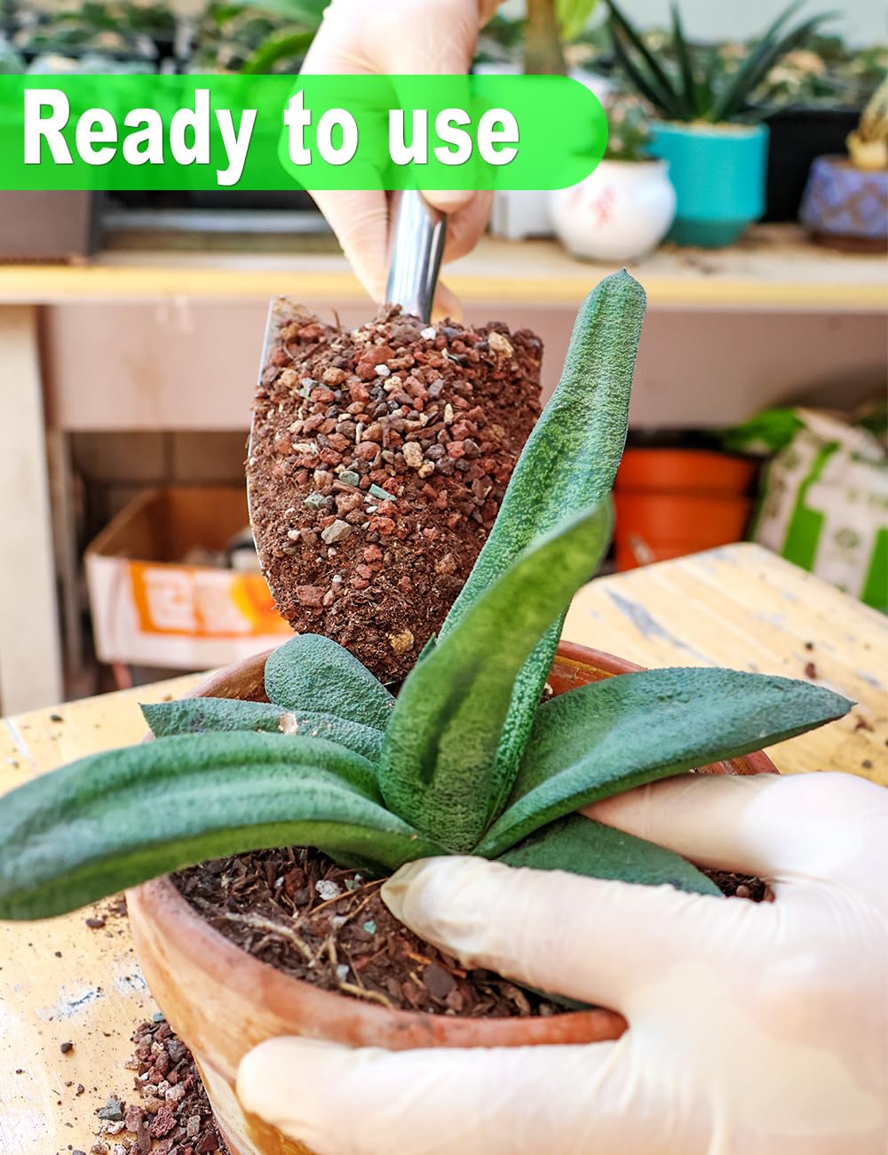 TOYPOPOR aged-bark mix adds aeration for better succulent growth.