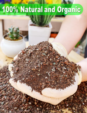 TOYPOPOR cactus potting mix 3qt supports healthy root growth in containers.