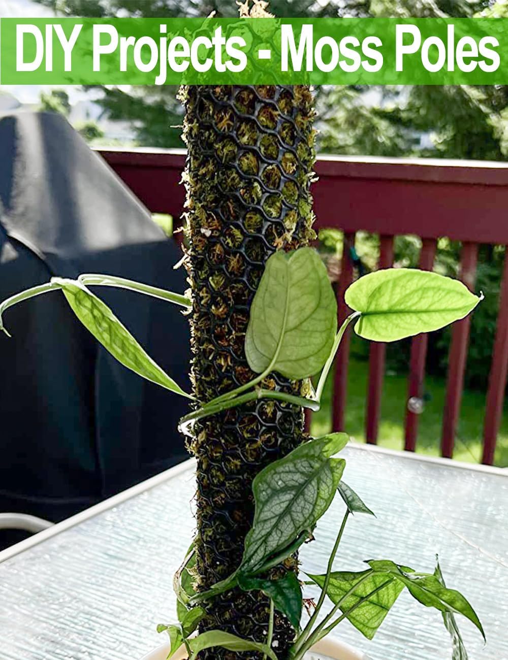 Garden fencing with TOYPOPOR mesh keeps pets out of beds.