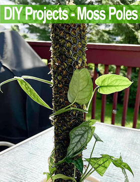 Garden fencing with TOYPOPOR mesh keeps pets out of beds.