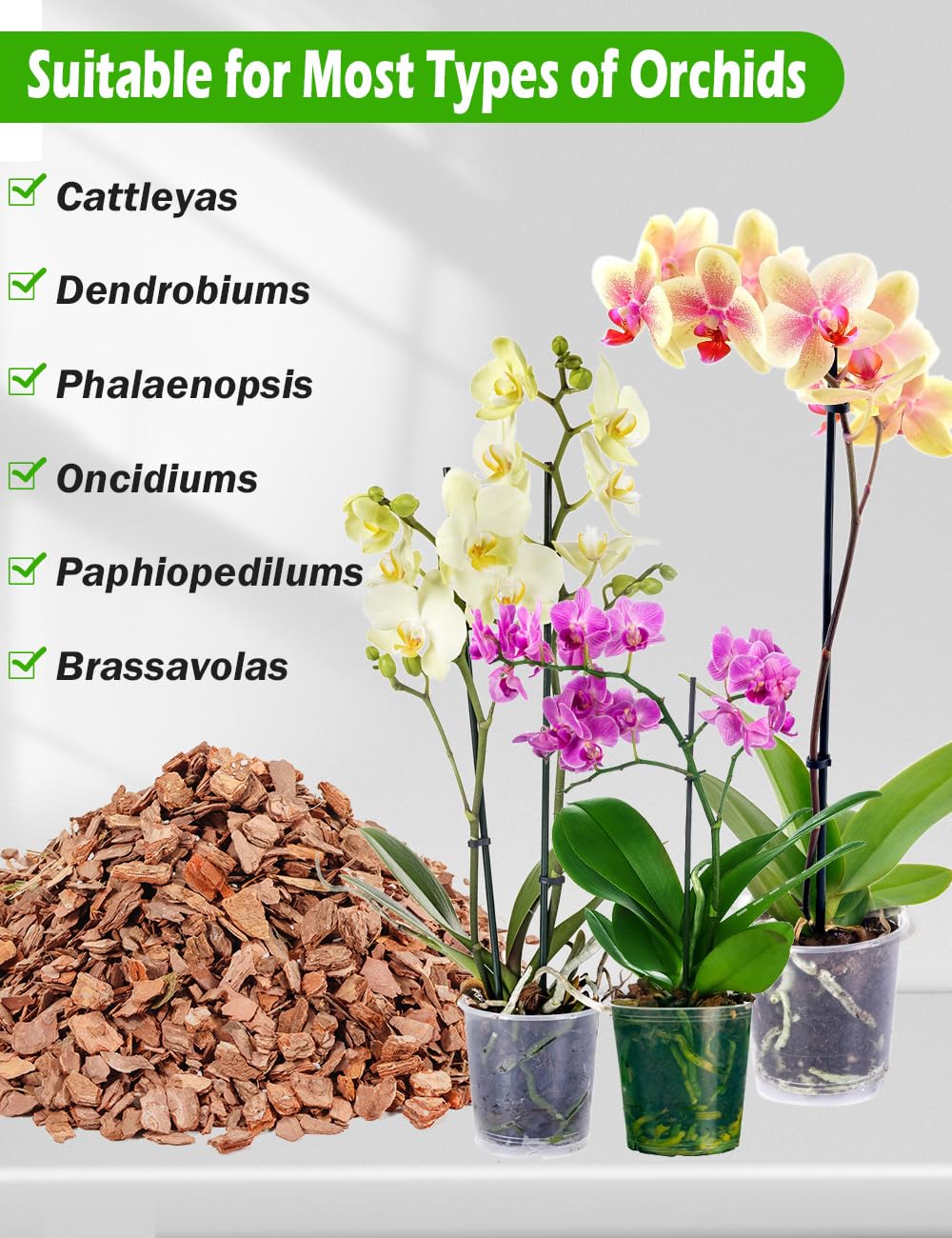 TOYPOPOR Orchid Mix uses aged pine bark and perlite as a breathable base.