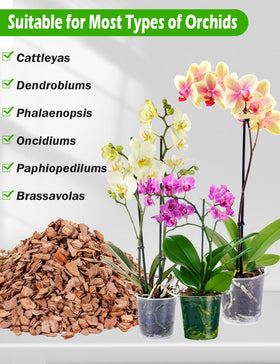 TOYPOPOR Orchid Mix uses aged pine bark and perlite as a breathable base.