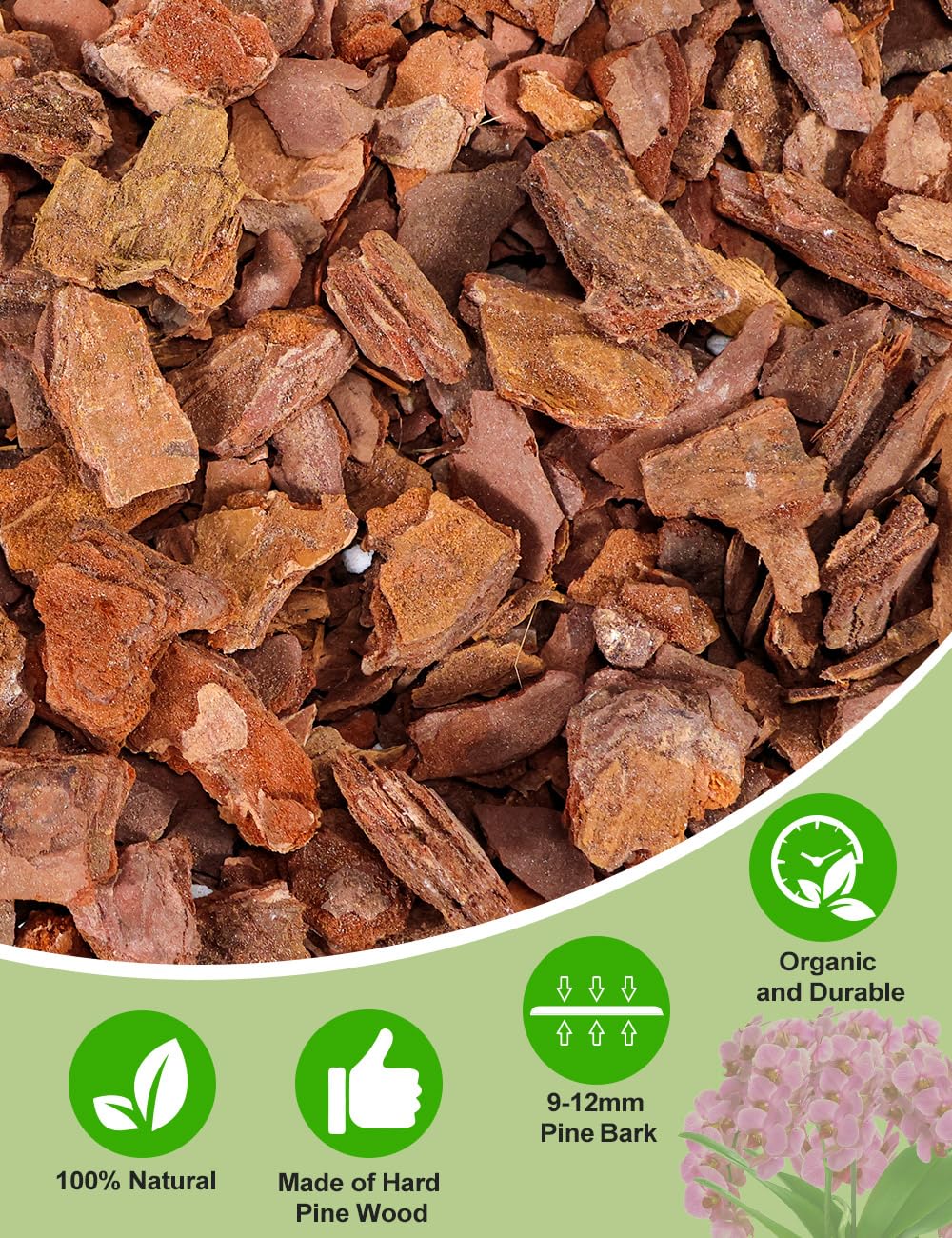 TOYPOPOR Orchid Mix lets roots climb and spread in an airy medium.
