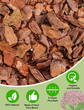 TOYPOPOR Orchid Mix lets roots climb and spread in an airy medium.