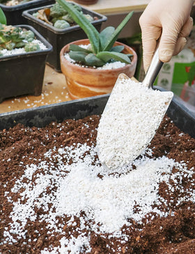 TOYPOPOR Perlite's 3-6 mm particles support airflow and prevent soil compaction.