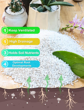 TOYPOPOR Perlite demonstrates drainage improvement in indoor and outdoor containers.