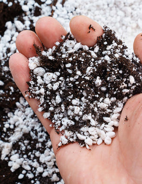 TOYPOPOR Perlite is ideal for indoor and outdoor plant use in pots and planters.