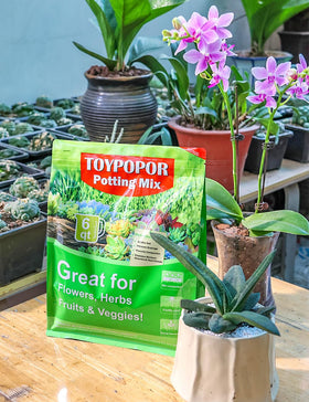 TOYPOPOR Perlite helps maintain a nutrient-friendly soil structure without decomposition.
