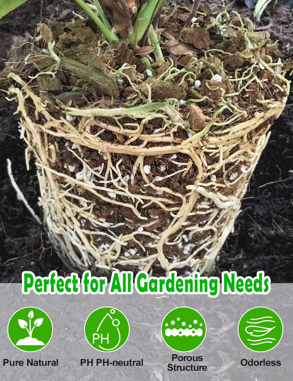 TOYPOPOR Perlite enhances soil aeration to support root health.