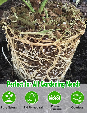 TOYPOPOR Perlite enhances soil aeration to support root health.