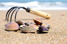 TOYPOPOR rustproof stainless claws resist corrosion near water.
