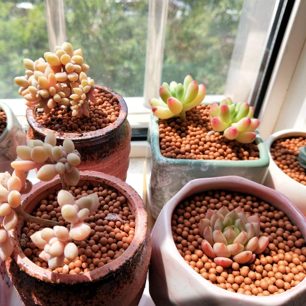 TOYPOPOR succulent potting media with porous texture promotes healthy roots