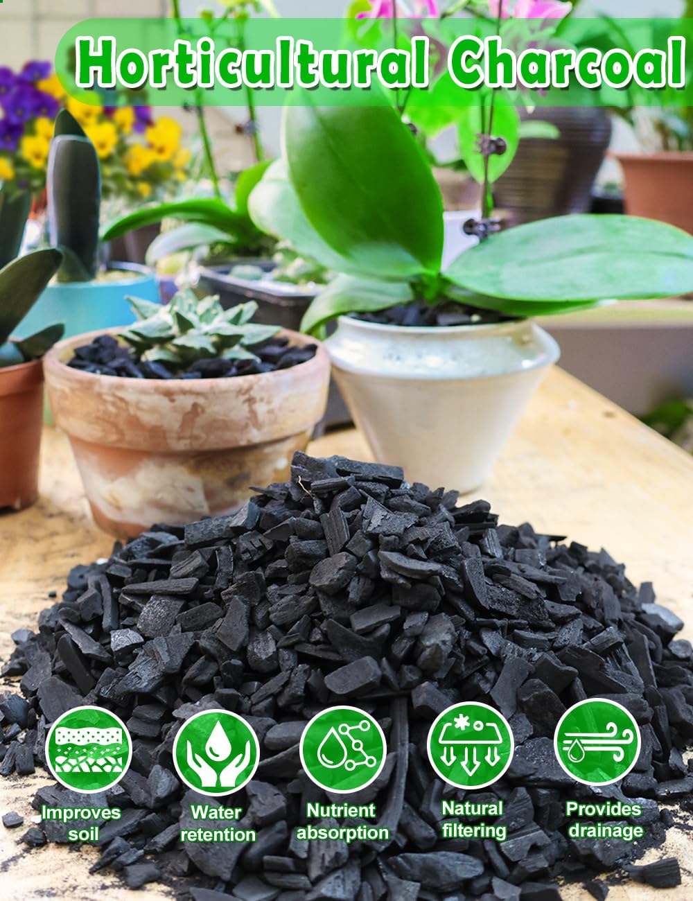 TOYPOPOR Horticultural Charcoal in soil mix helps regulate moisture for healthy potting.