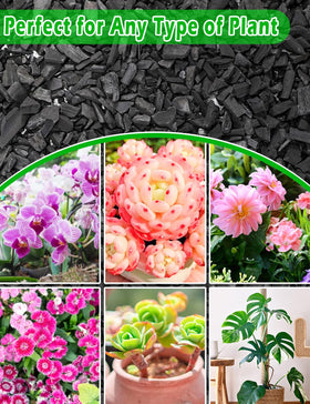 TOYPOPOR Charcoal improves soil structure for orchid potting mixes.