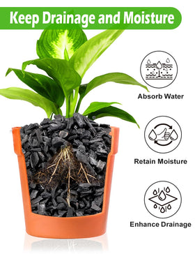 TOYPOPOR Horticultural Charcoal aids succulents and cacti in terrarium settings.