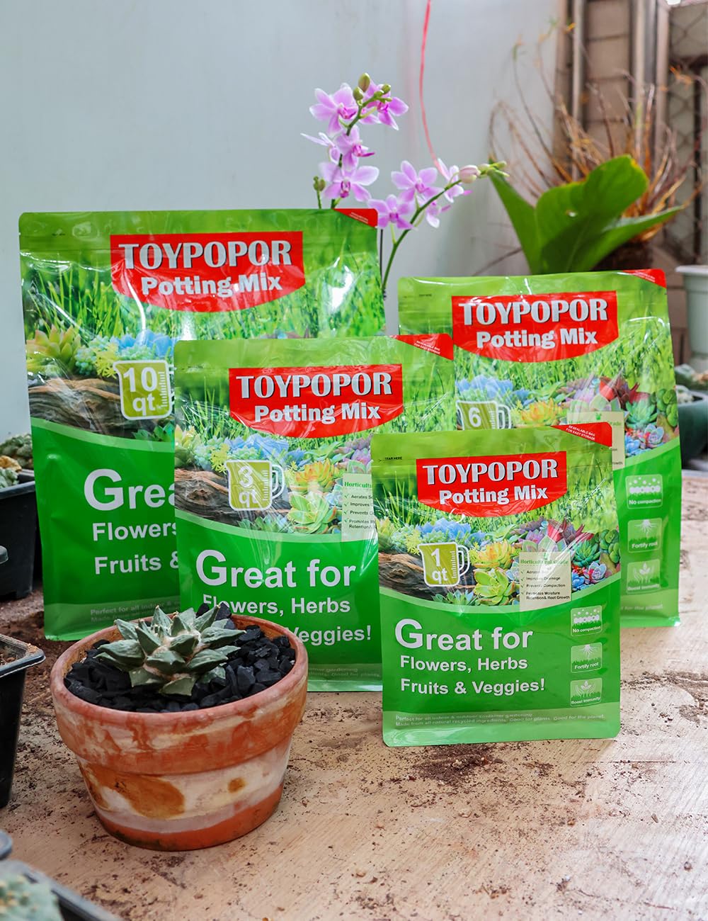 TOYPOPOR Horticultural Charcoal supports greener terra gardening with charcoal setup.