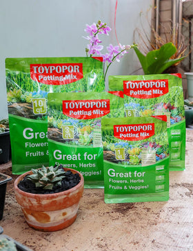 TOYPOPOR Horticultural Charcoal supports greener terra gardening with charcoal setup.