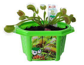 TOYS BY NATURE Micro-dome terrarium setup with distilled water and easy care.
