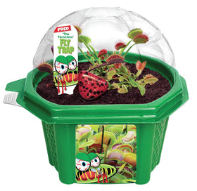 TOYS BY NATURE Fred the Ferocious Flytrap in a micro dome terrarium for beginner-friendly fun.