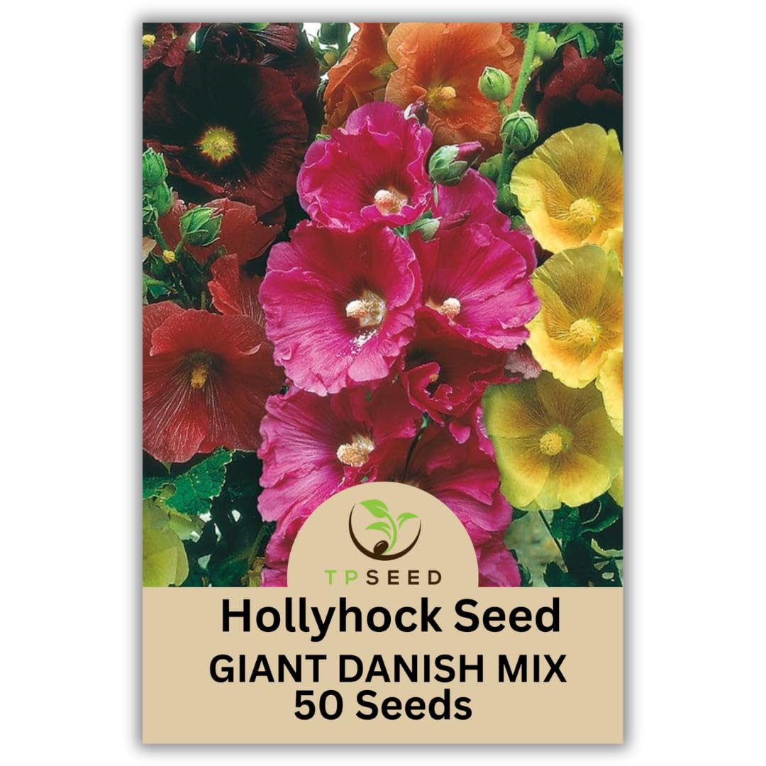 TP SEED Hollyhock Giant Danish Mix tall stems create a dramatic vertical display.
