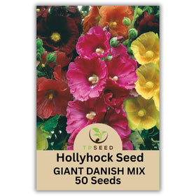 TP SEED Hollyhock Giant Danish Mix tall stems create a dramatic vertical display.