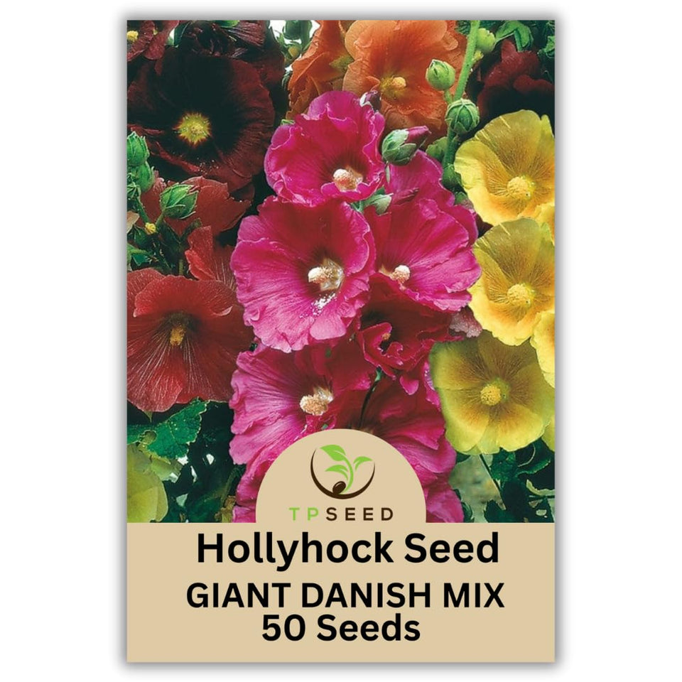 TP SEED Hollyhock Giant Danish Mix tall stems create a dramatic vertical display.