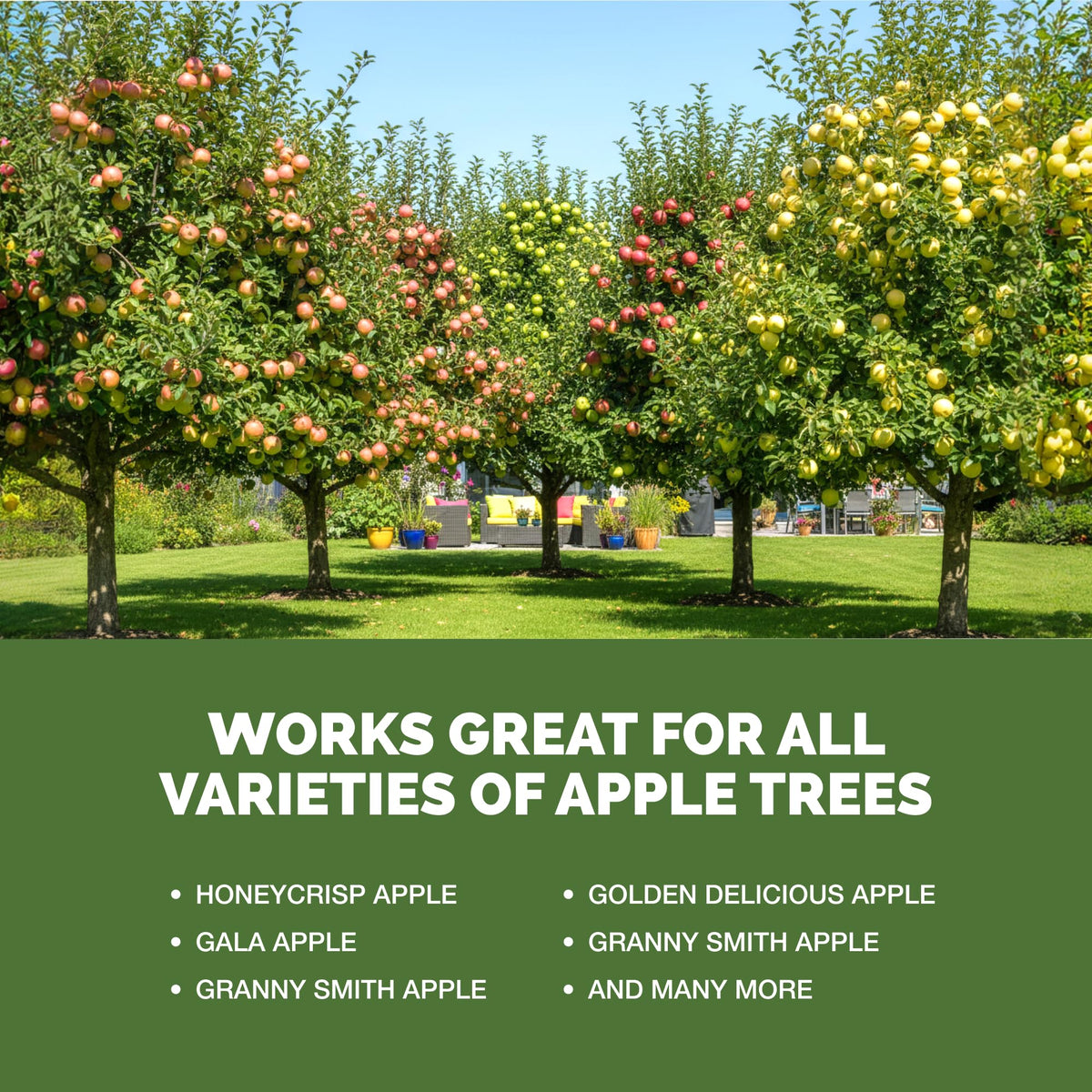 TPS NUTRIENTS Apple Tree Fertilizer dilution and mixing for healthy uptake.