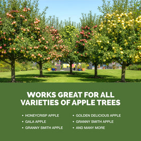 TPS NUTRIENTS Apple Tree Fertilizer dilution and mixing for healthy uptake.