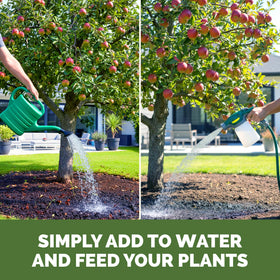 TPS NUTRIENTS Apple Tree Fertilizer in a garden bed supporting strong roots.