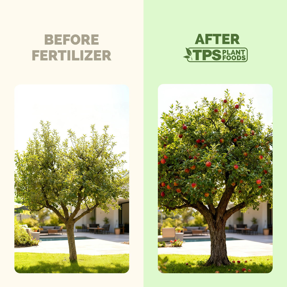 Close-up of TPS NUTRIENTS Apple Tree Fertilizer label showing balanced nutrition.