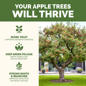 TPS NUTRIENTS Apple Tree Fertilizer liquid pour for even root nourishment.