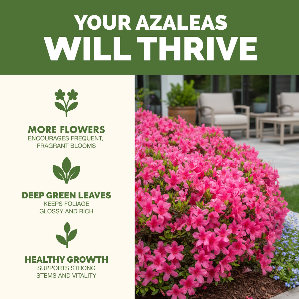 Close-up of TPS NUTRIENTS Azalea Fertilizer label with balanced nutrients.