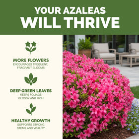 Close-up of TPS NUTRIENTS Azalea Fertilizer label with balanced nutrients.