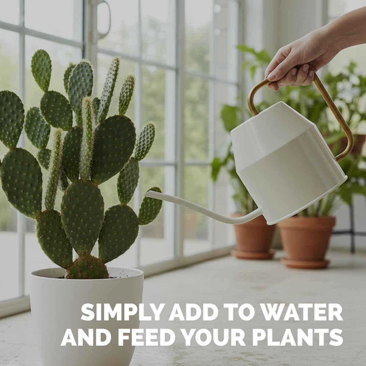 TPS NUTRIENTS cactus flower bloom suggests potential flowering with gentle nutrition.