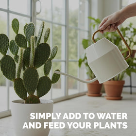 TPS NUTRIENTS cactus flower bloom suggests potential flowering with gentle nutrition.