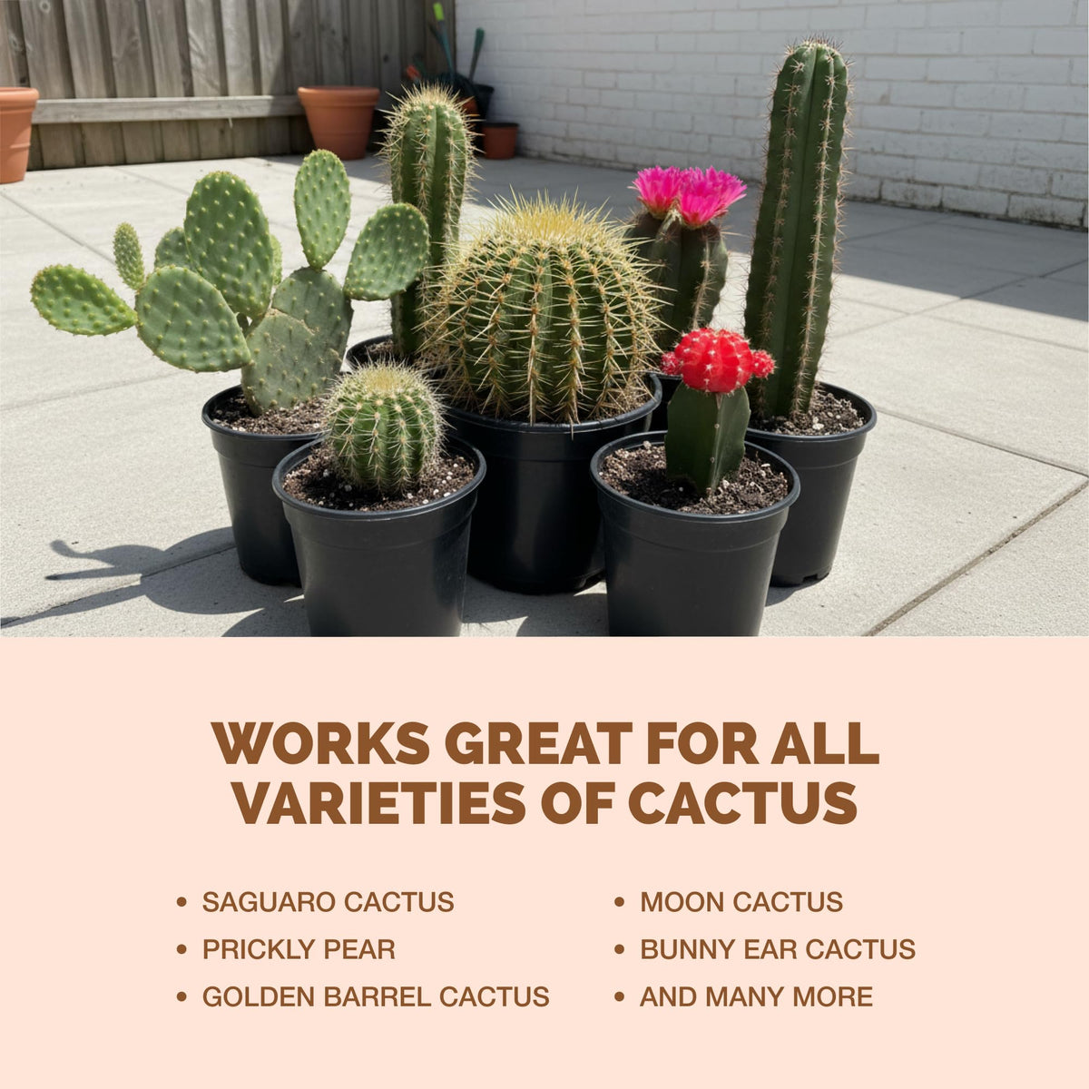 TPS NUTRIENTS cactus root development emphasizes strong roots for steady growth.