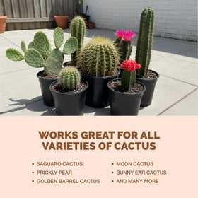 TPS NUTRIENTS cactus root development emphasizes strong roots for steady growth.