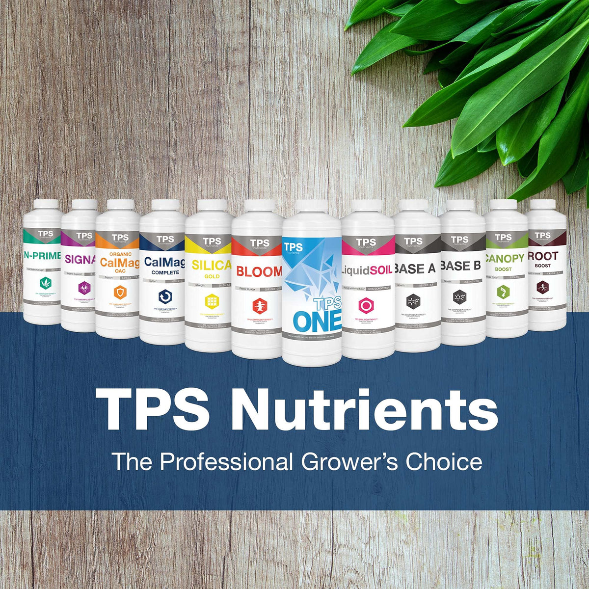 TPS NUTRIENTS Cal-Mag Complete in hydroponics demonstrates compatibility with controlled environments