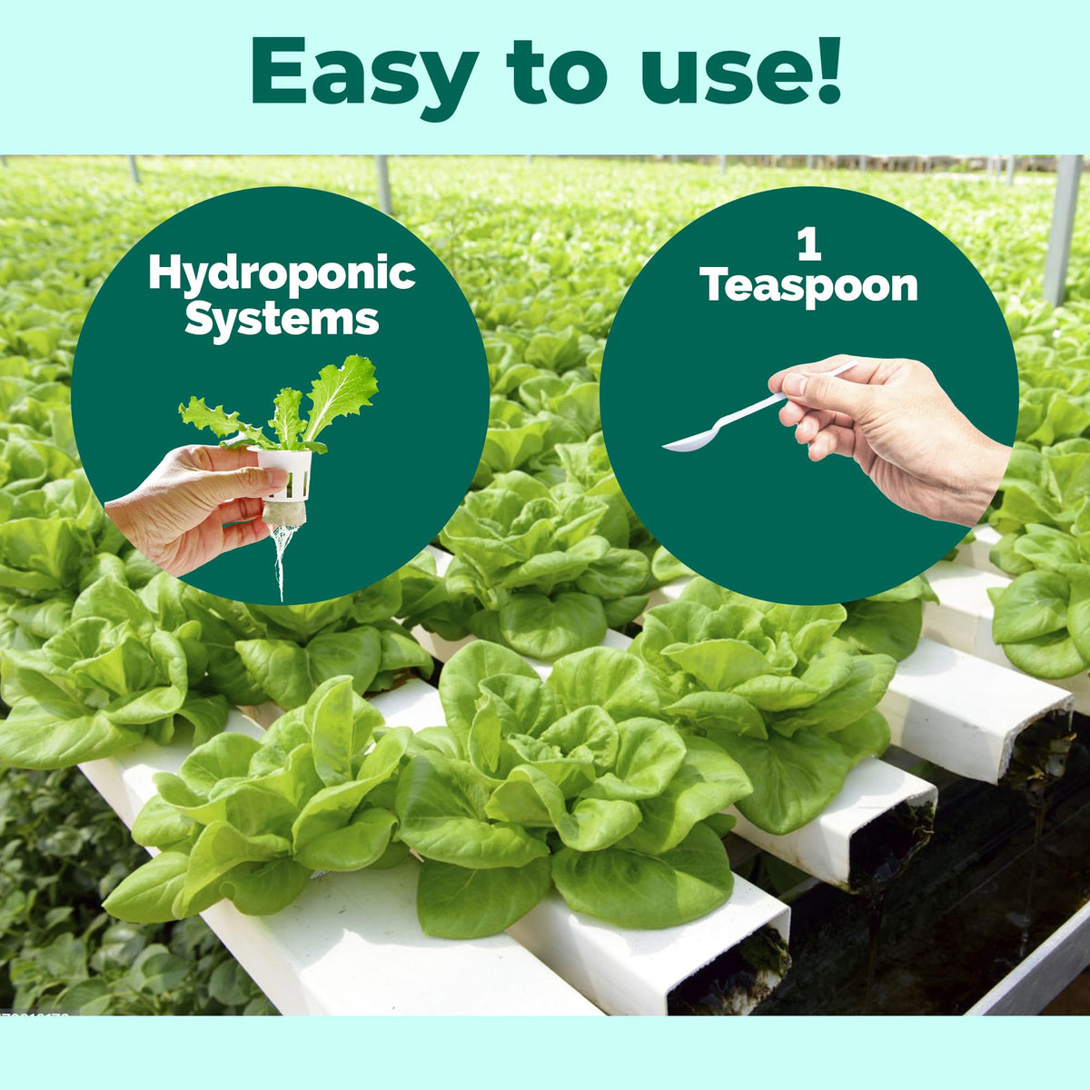 TPS NUTRIENTS indoor-growing setup demonstrates reliable nutrient delivery for containers.