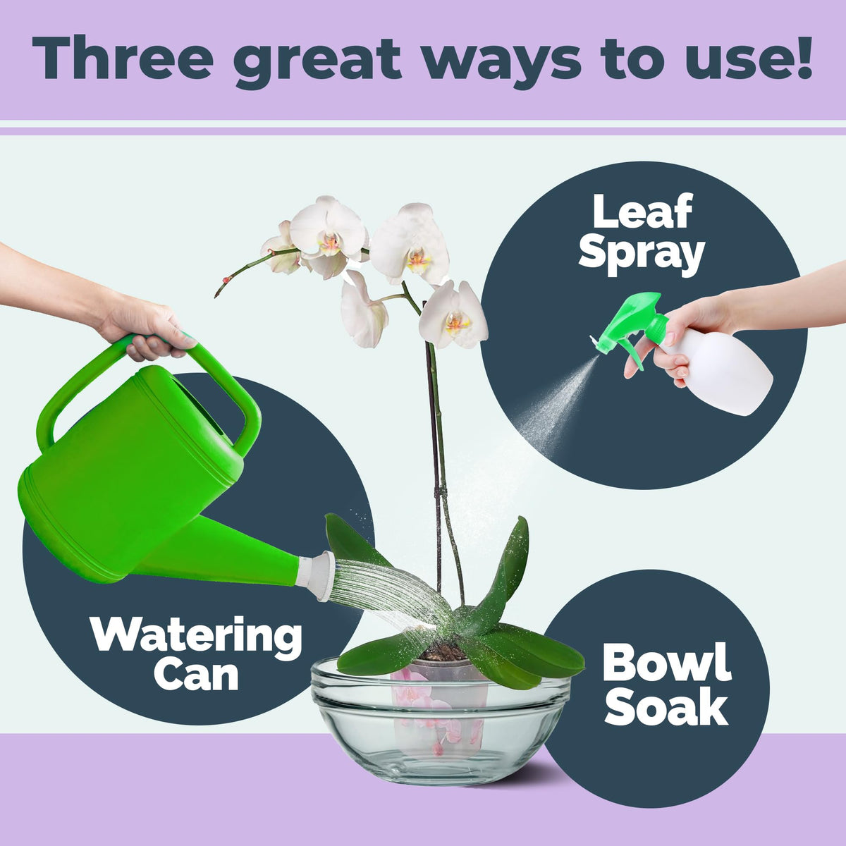 TPS NUTRIENTS liquid fertilizer pour shows quick nutrient delivery during watering.
