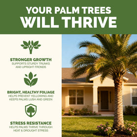 TPS NUTRIENTS liquid palm food nourishes green fronds for tropical vigor.
