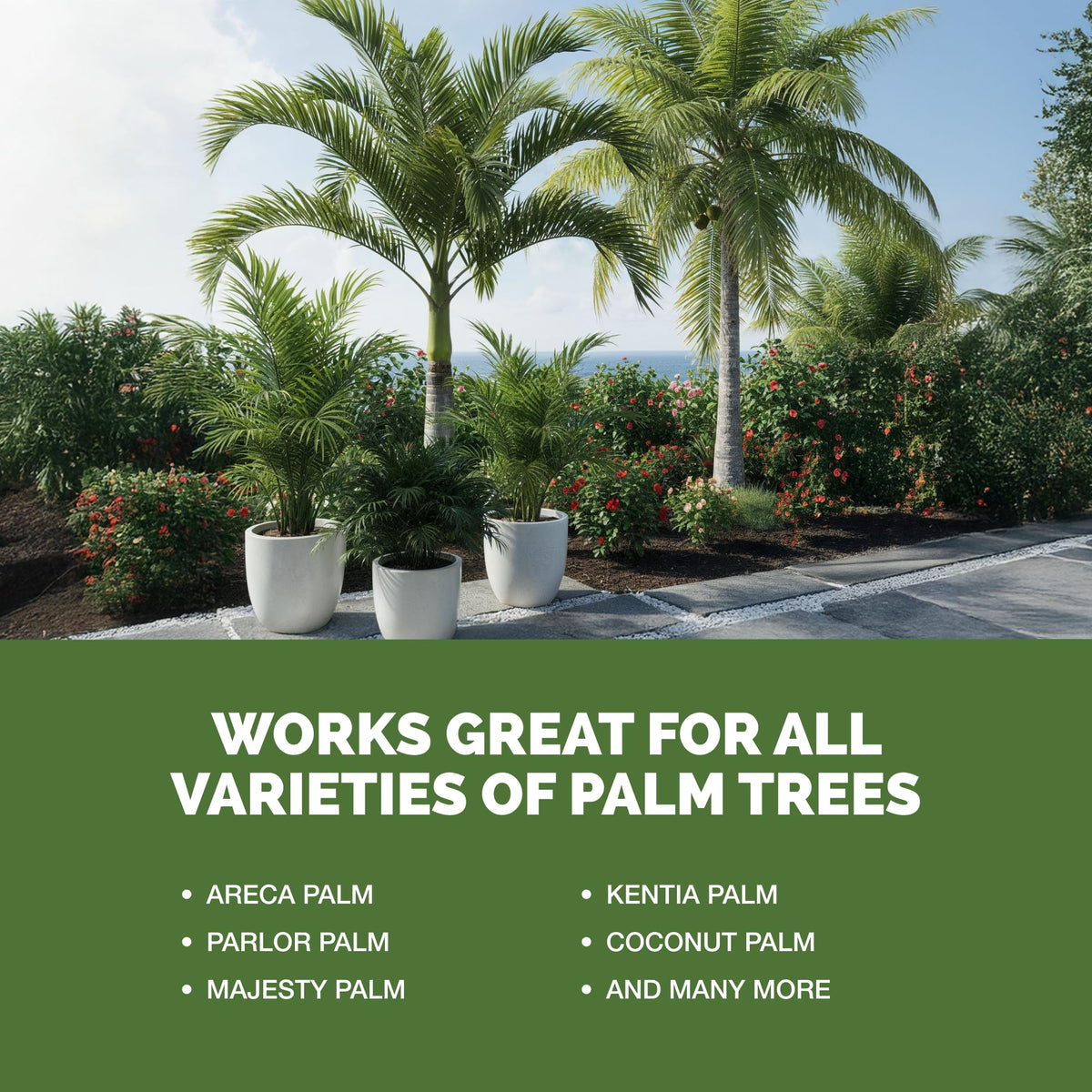 TPS NUTRIENTS made in USA palm fertilizer provides reliable plant care.