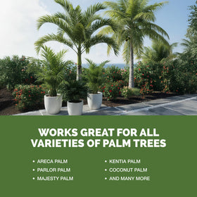 TPS NUTRIENTS made in USA palm fertilizer provides reliable plant care.
