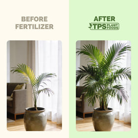 TPS NUTRIENTS palm roots strong health supports stable potted palms.