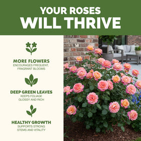 TPS NUTRIENTS rose bloom enhancement liquid aids steady flowering and bright petals.