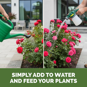 TPS NUTRIENTS rose color boost with easy liquid feeding for outdoor roses.